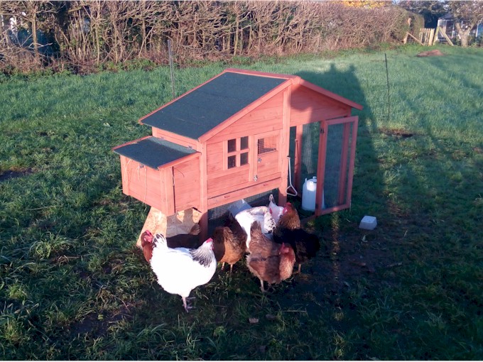 gill & aidan's farm (3)