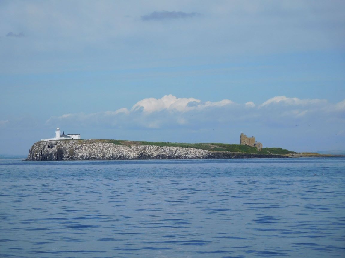lindisfarne (6)