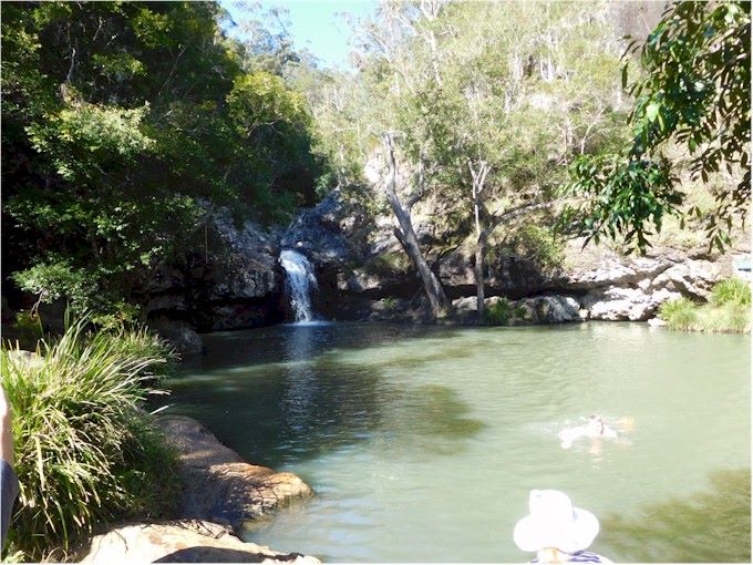 A trip to the Kondalilla Falls provided some good hiking...