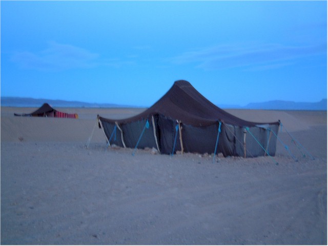 To our 'luxury' accommodation - a Bedouin tent. It was freezing!
