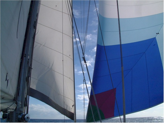 ... and our typical sail plan - genoa and poled-out gennaker.
